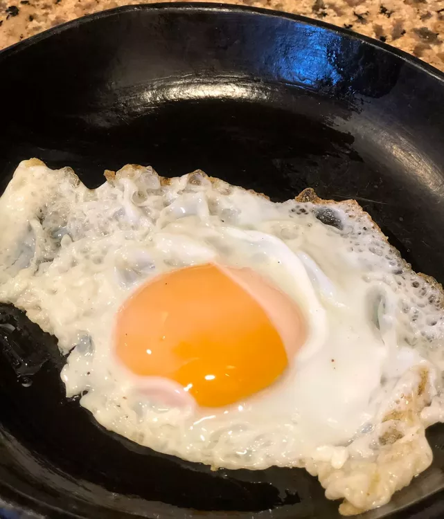 WhatsApp Image 2022-02-09 at 16.18.37 (2)