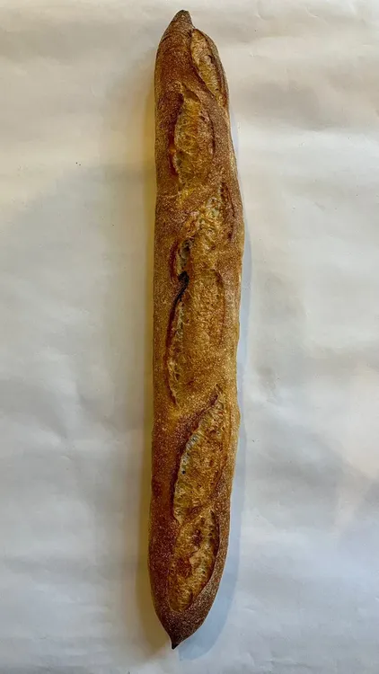 WhatsApp Image 2023-11-23 at 16.47.50 (1)