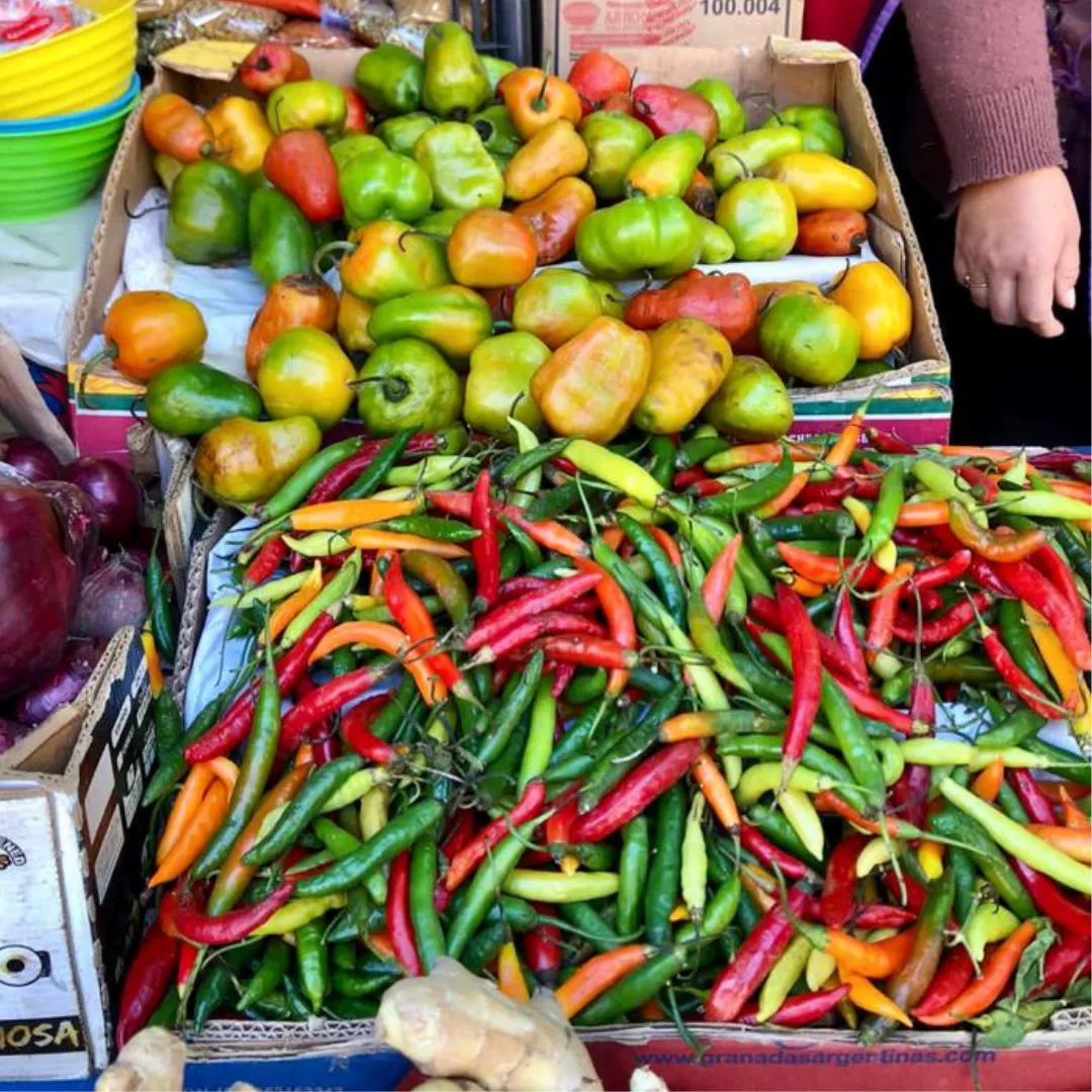 Empanadas salteñas (9)