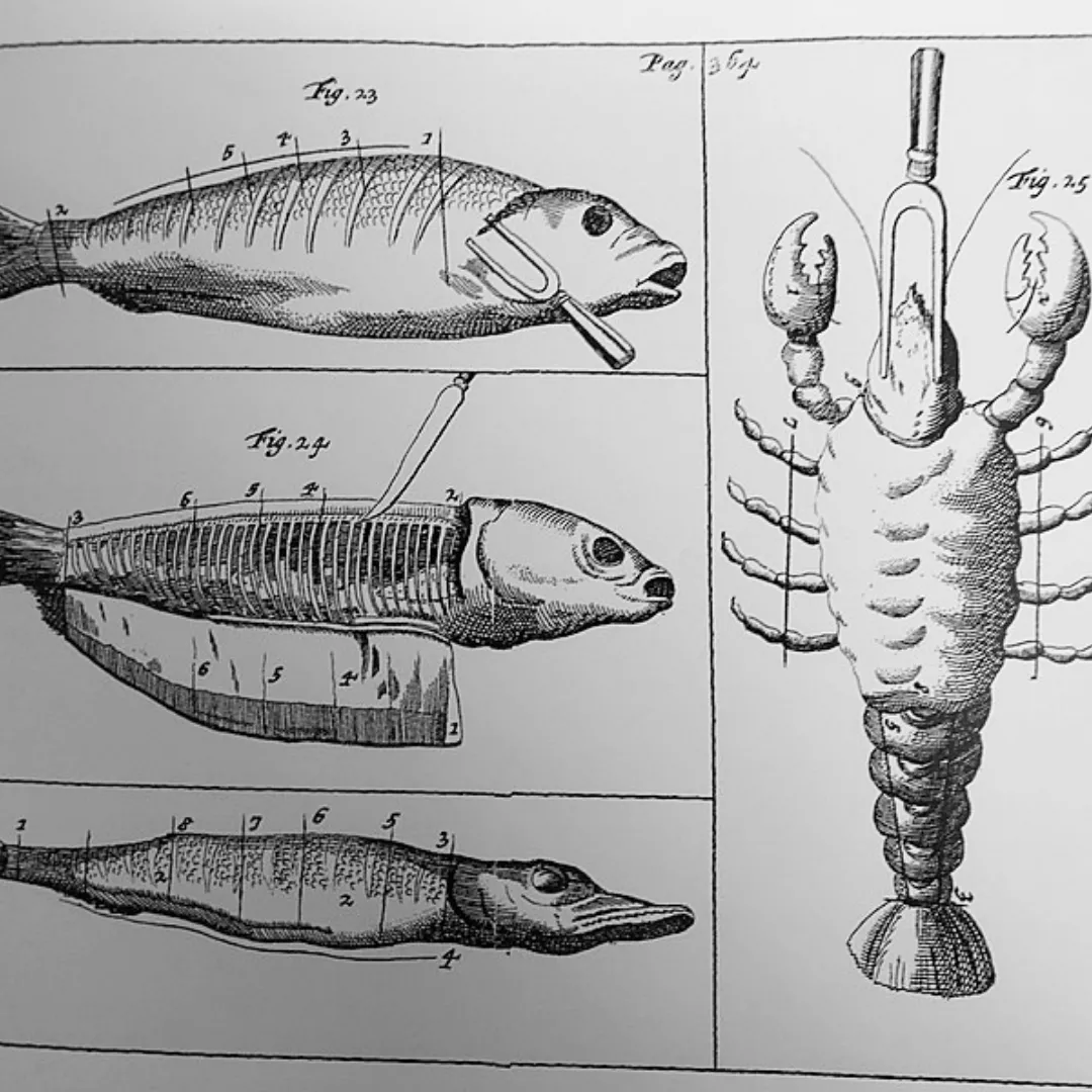 Agregar un título (19)