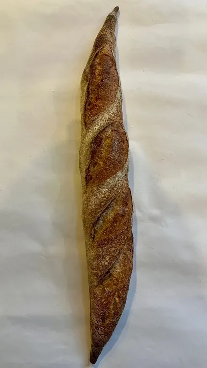 WhatsApp Image 2023-11-23 at 16.47.42