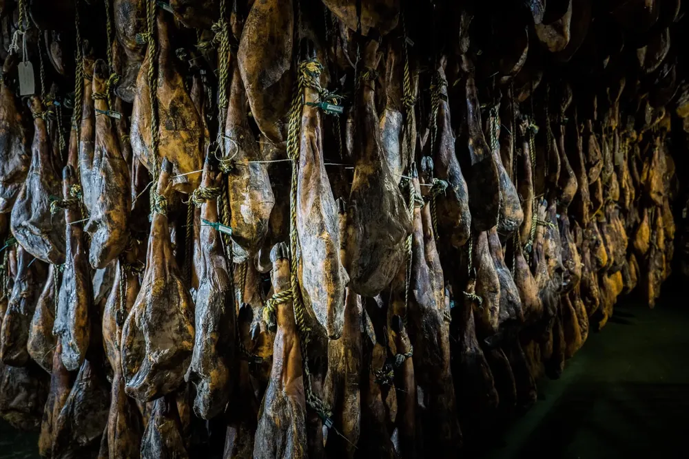 272081233_7168396209867298_6131698937698303610_n