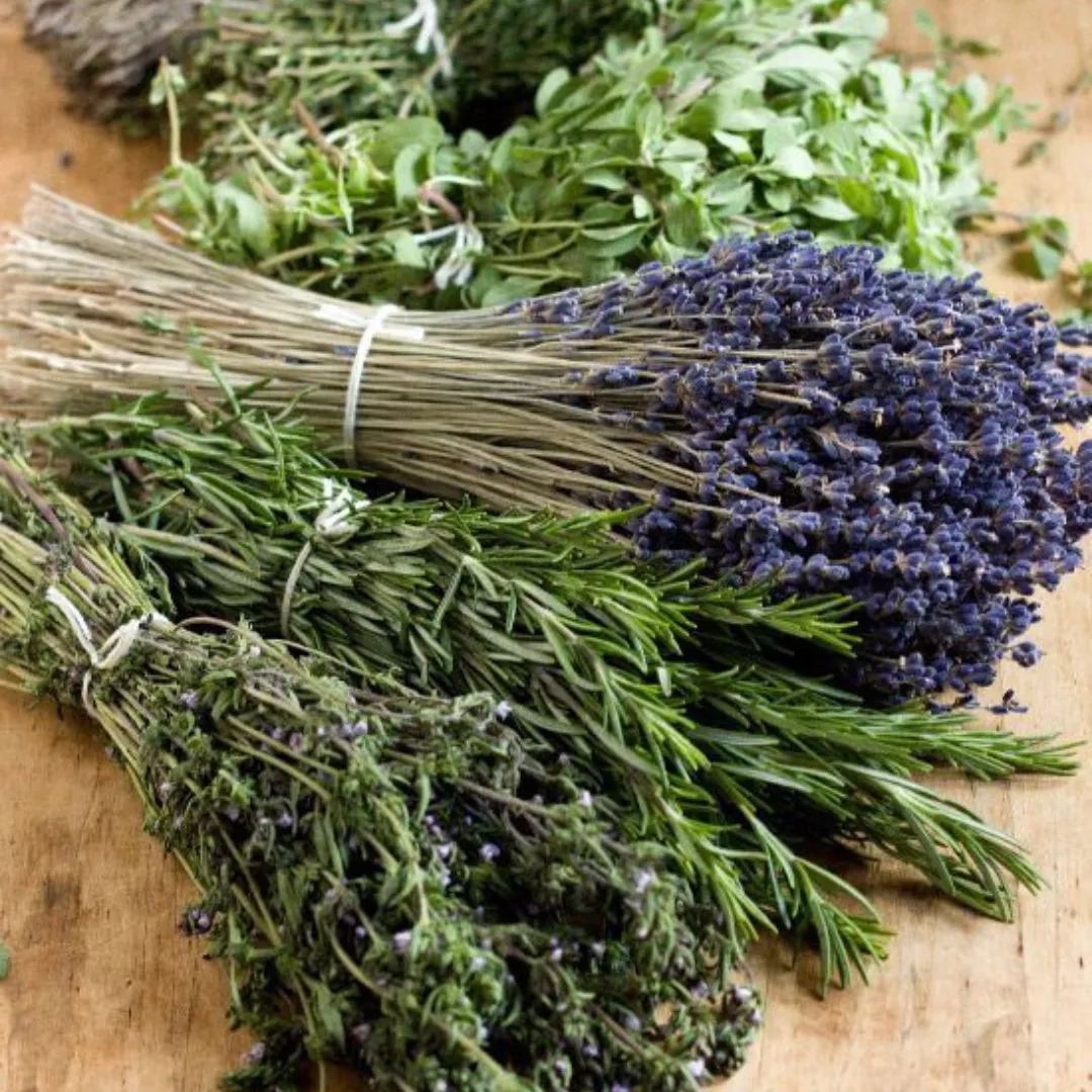 Sandulchan, el familiar (39)