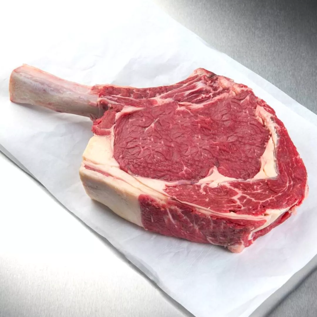 Diseño sin título - 2022-10-26T180843.128