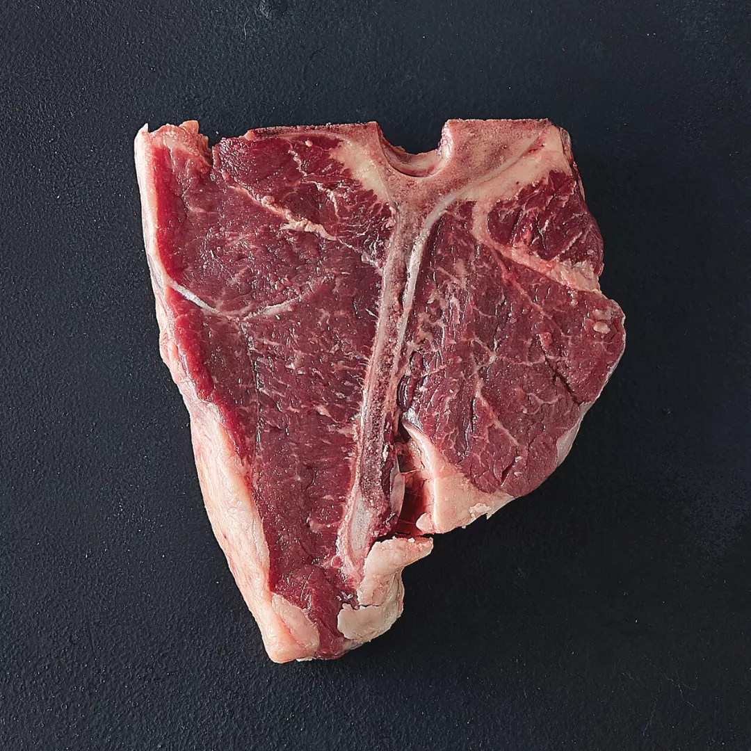 Diseño sin título - 2022-10-26T180229.431