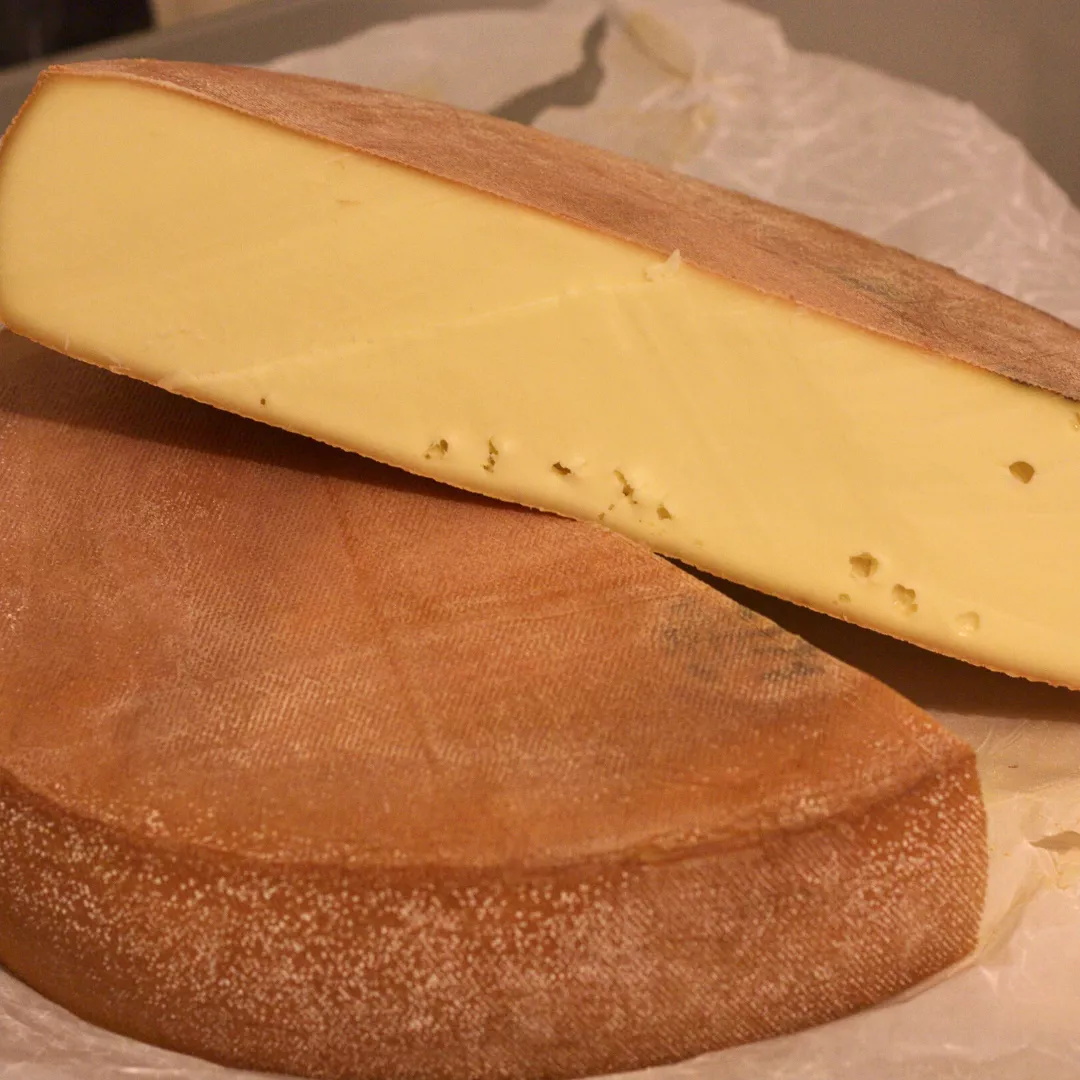 Las nuevas muzzarellas burrata y stracciatella (17)