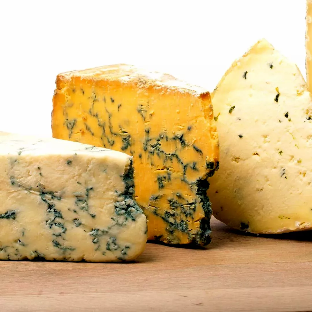 Diseño sin título - 2023-01-28T175807.275