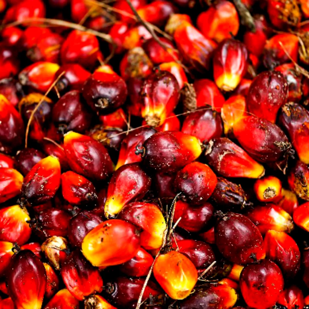 Las 9 tendencias gastro del 2022 (2)