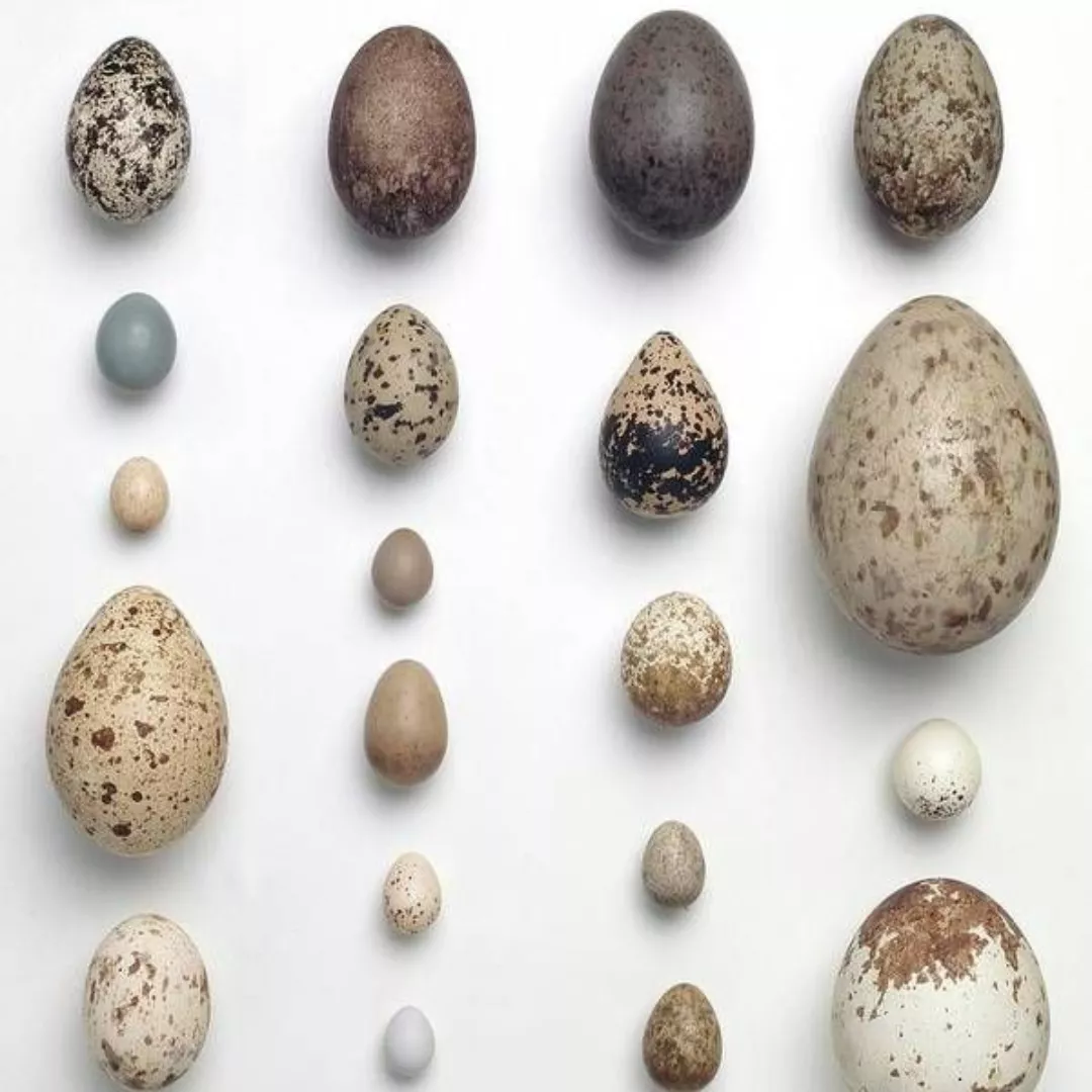 Agregar un título (24)