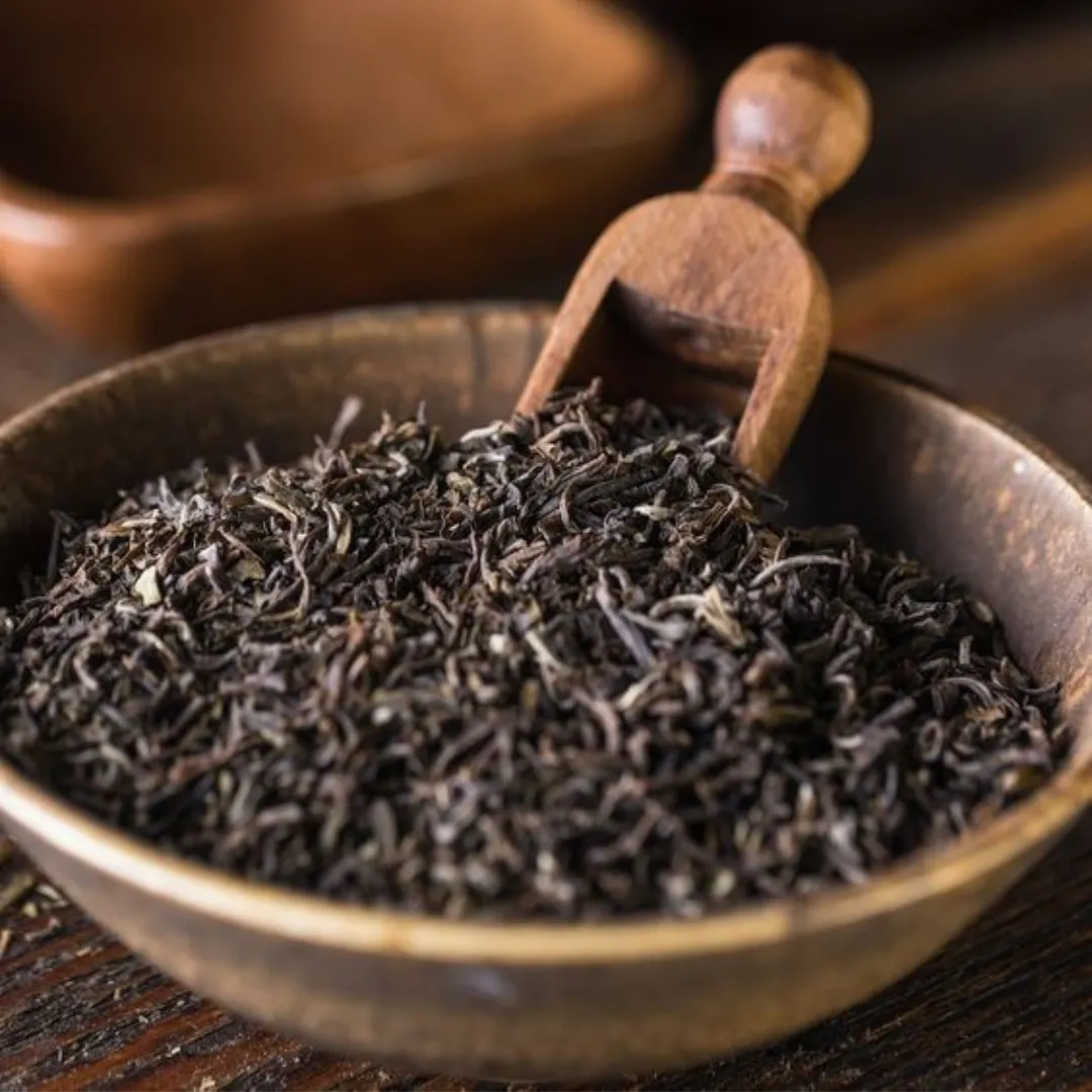 Diez grandes combinaciones argentinas - 2023-10-11T163557.083