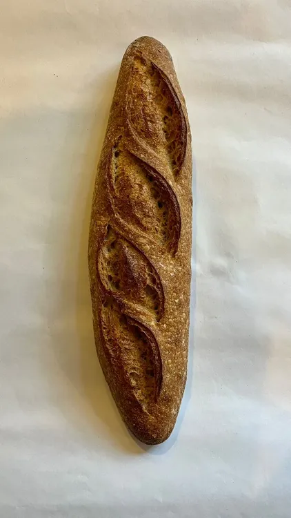 WhatsApp Image 2023-11-23 at 16.47.51