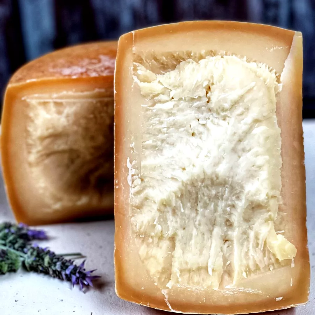 Las nuevas muzzarellas burrata y stracciatella (9)