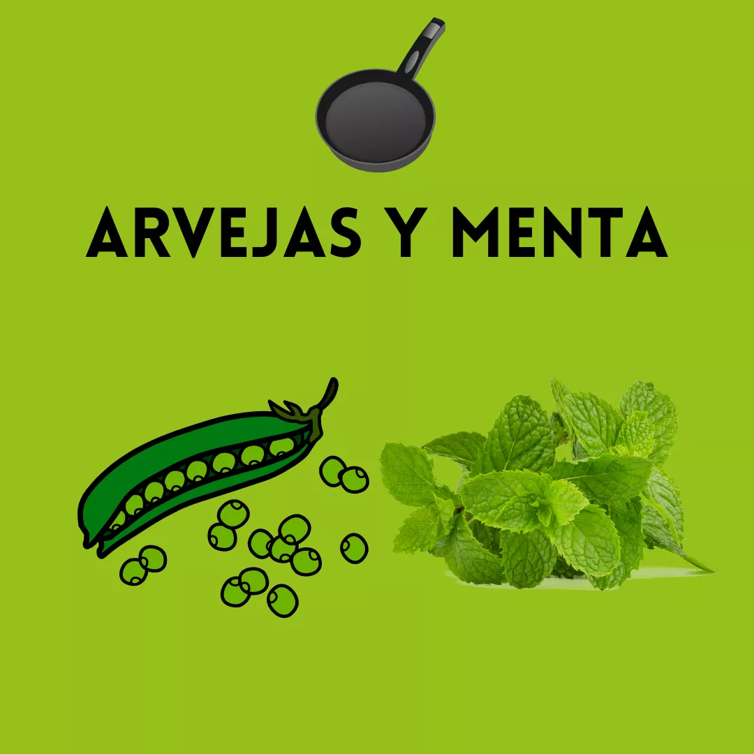 Hinojos y naranja (2)