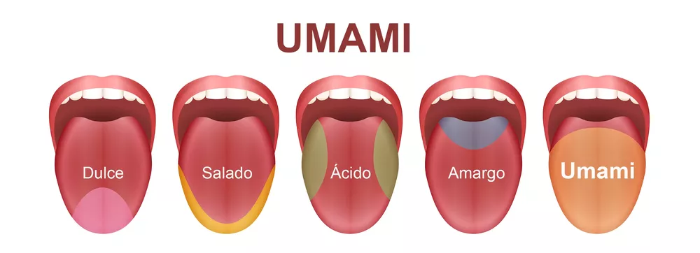 umami