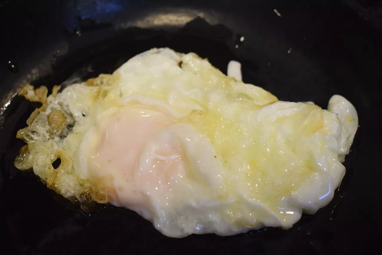 WhatsApp Image 2022-02-09 at 15.56.58