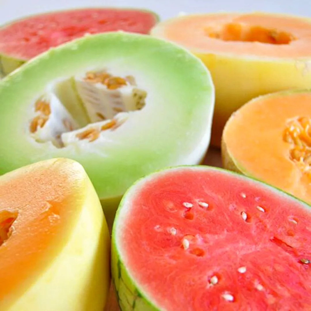 Pescados en conserva o curados en casa (3)