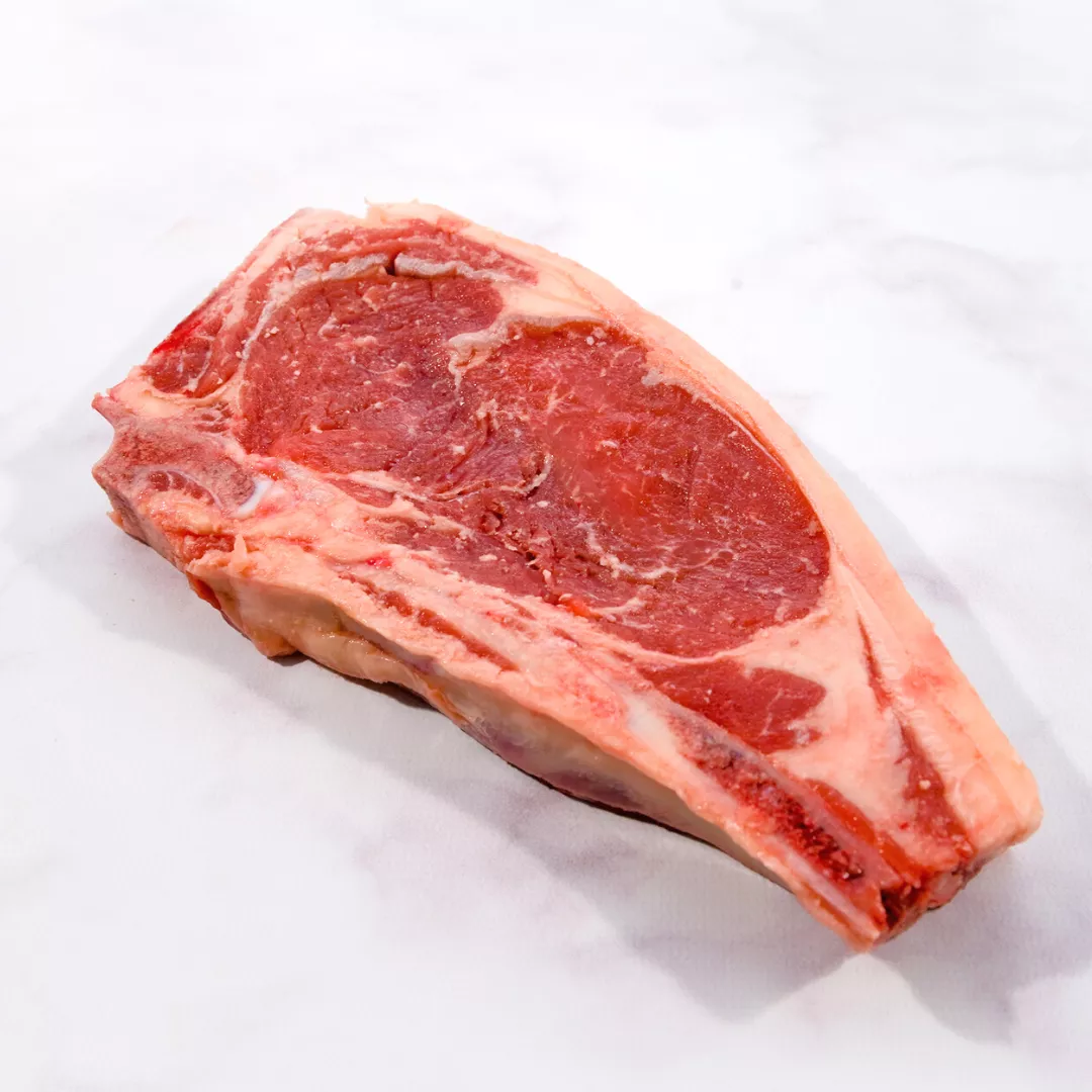 Diseño sin título - 2022-10-26T180531.893