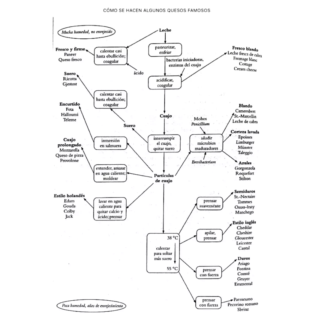 Diseño sin título - 2023-01-28T180212.353