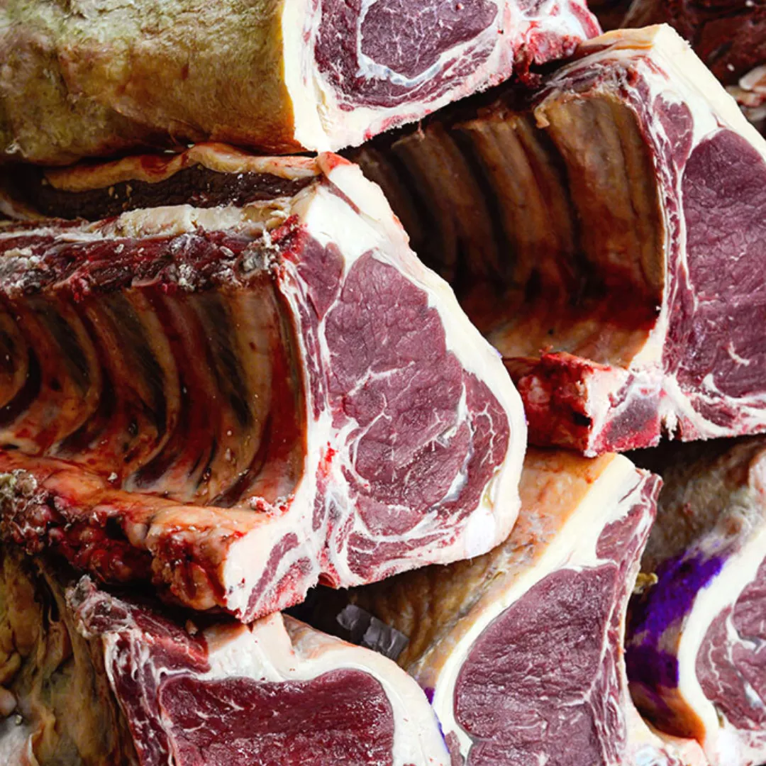 Diseño sin título - 2022-10-26T181637.652