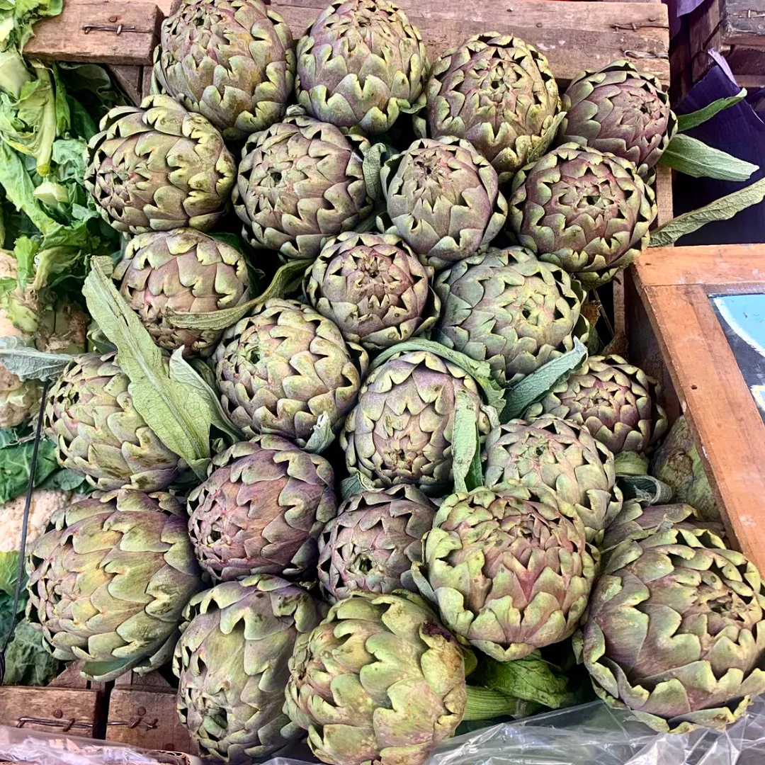 Diseño sin título - 2022-09-28T172435.804