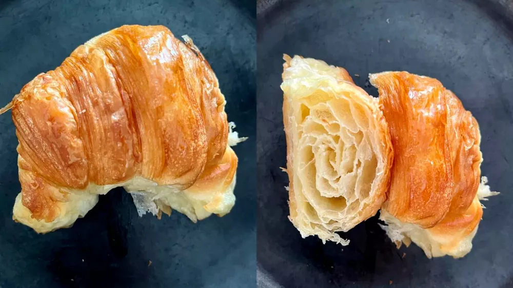 Diseño sin título (11)