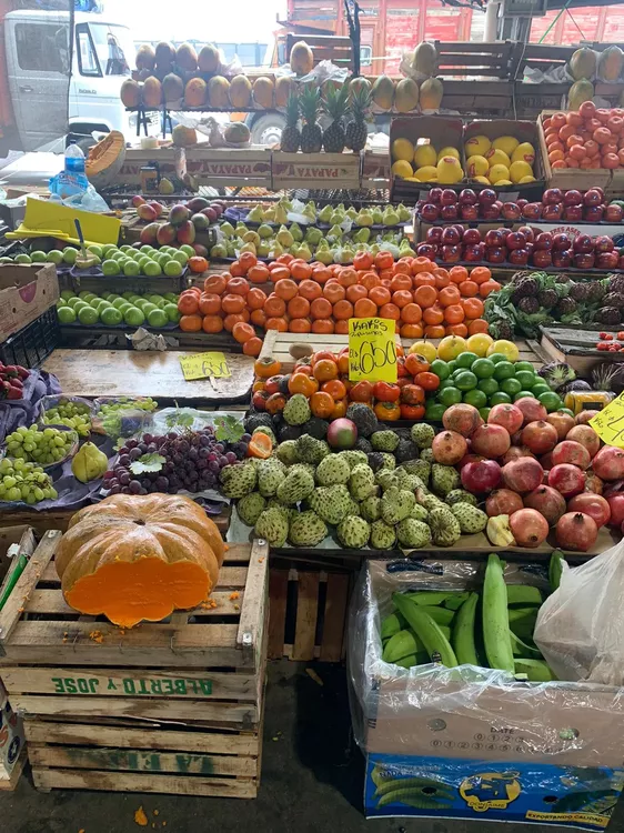 WhatsApp Image 2022-07-26 at 10.46.41 AM (1)