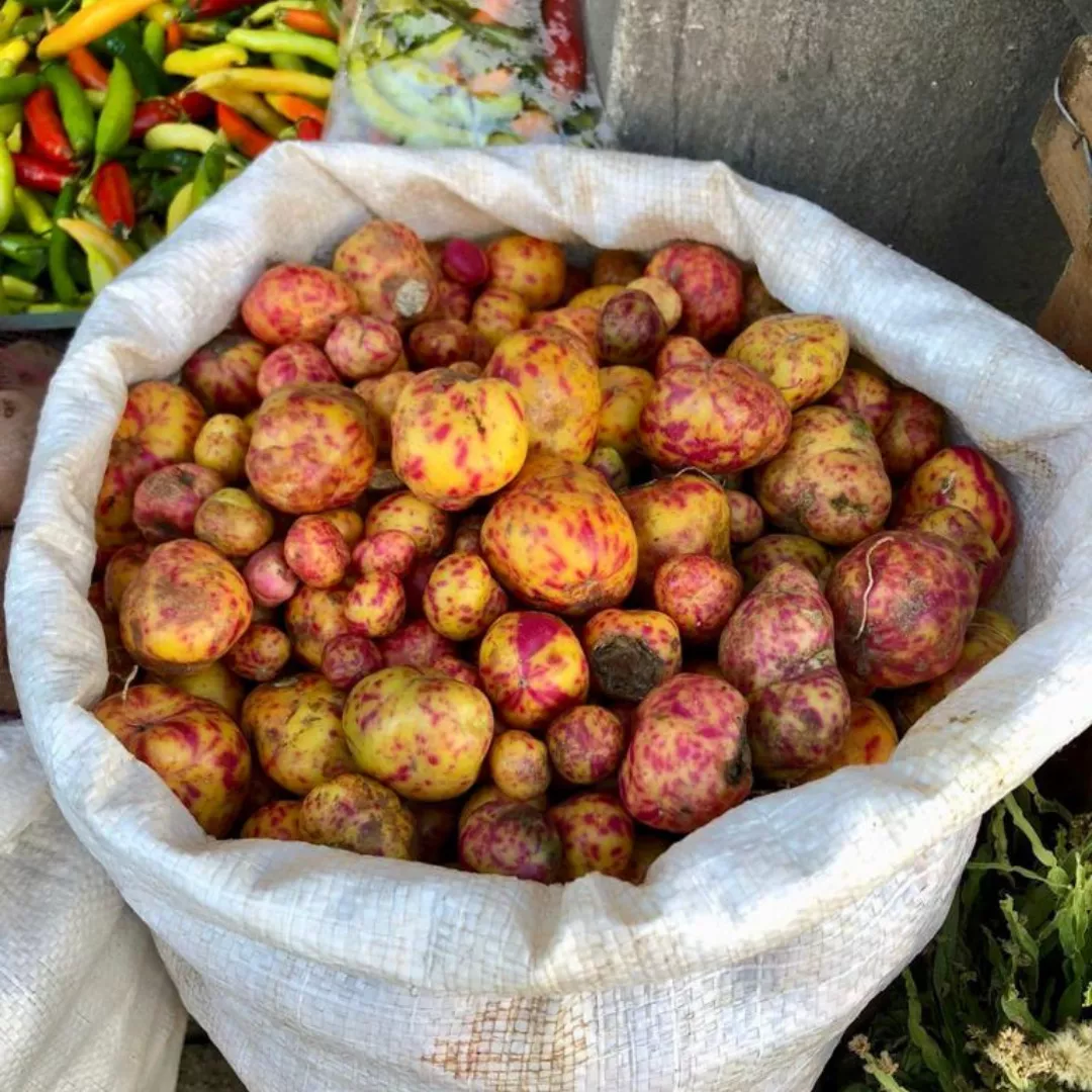 Empanadas salteñas (15)