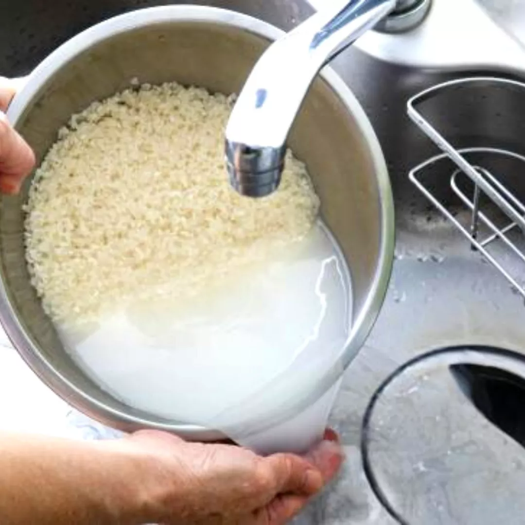 sushi en japonés quiere decir arroz avinagrad y. su versión moderna nace en el siglo xix como una comida callejera, simple y popular para comer con las manos (7)