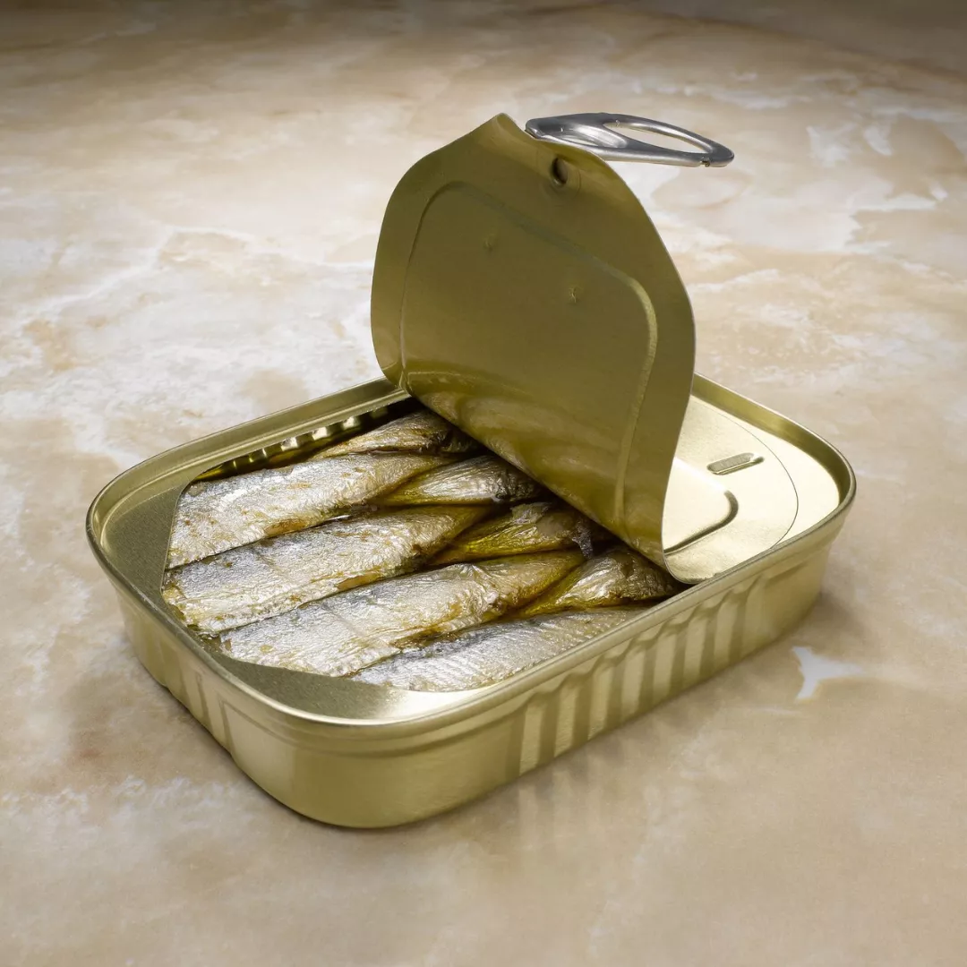 Pescados en conserva o curados en casa (1)