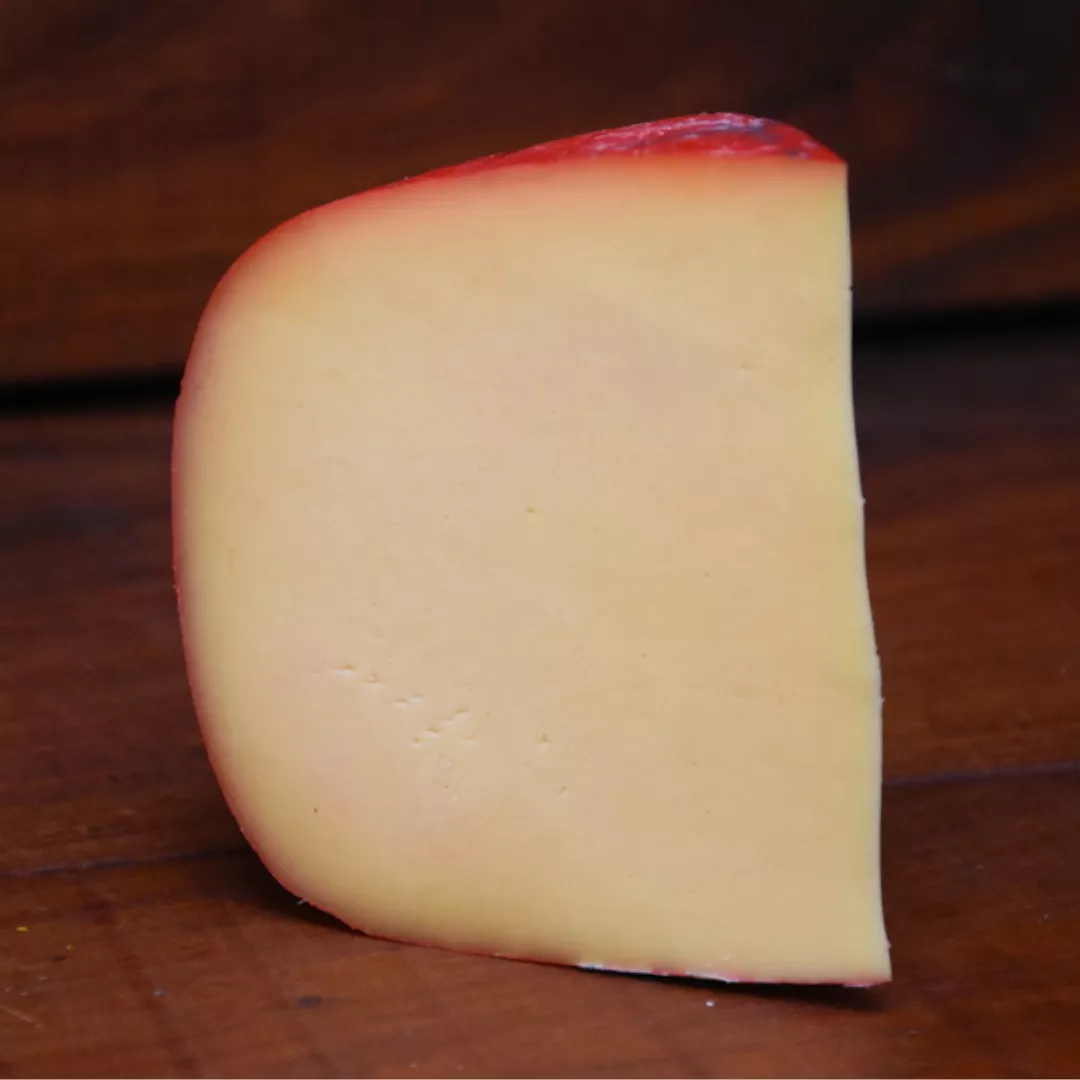 Diseño sin título - 2023-01-28T180913.142