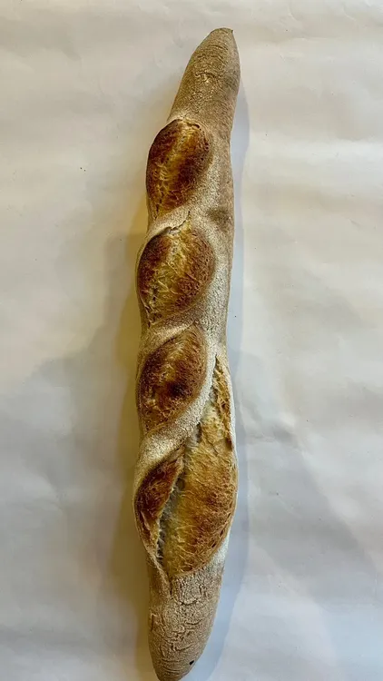 WhatsApp Image 2023-11-23 at 16.47.49