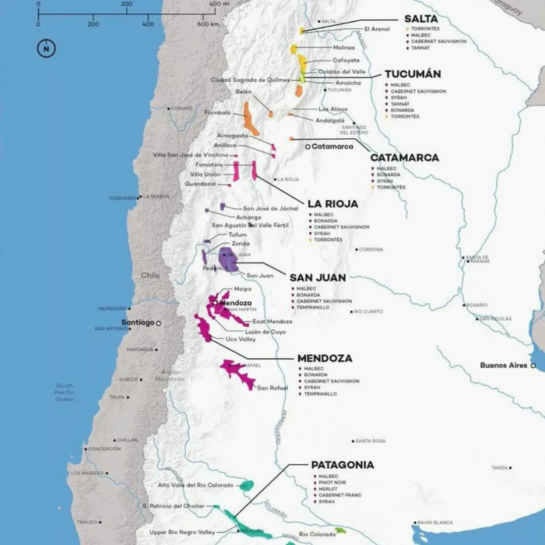 Diseño sin título (97)