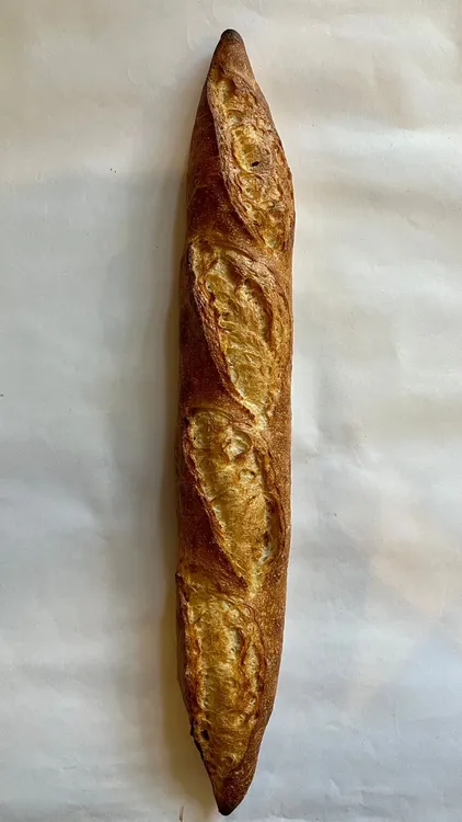 WhatsApp Image 2023-11-23 at 16.47.52