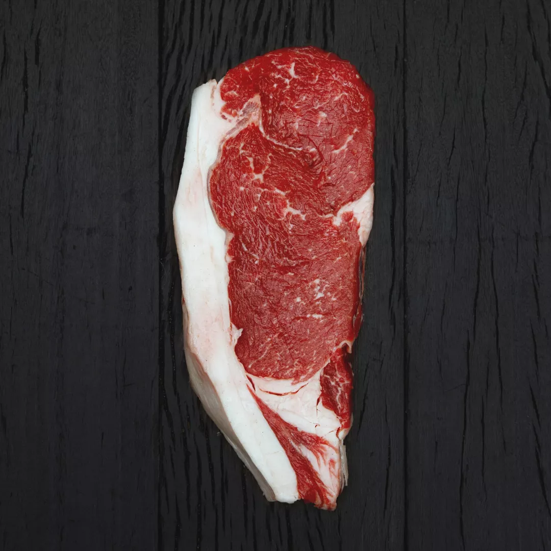 Diseño sin título - 2022-10-26T180241.769