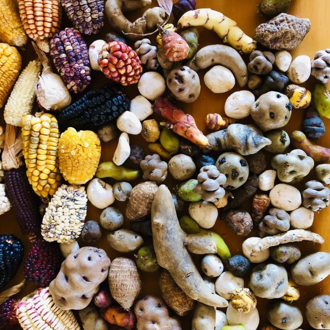 Diez grandes combinaciones argentinas - 2023-10-14T215155.701