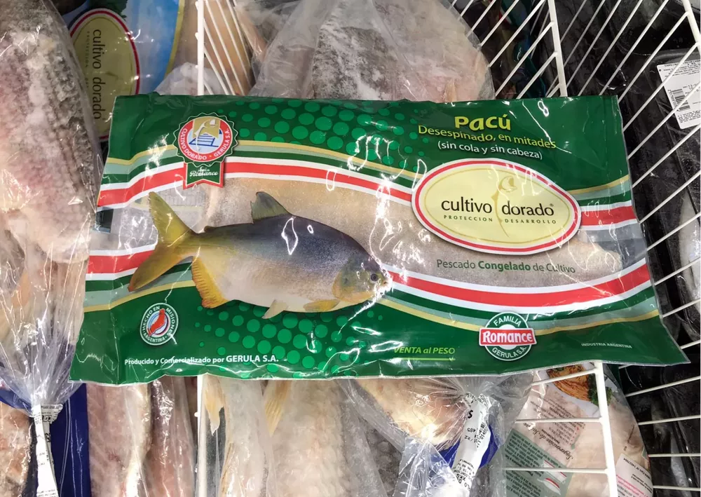 Disenﾌバ sin tiﾌ》ulo (52)