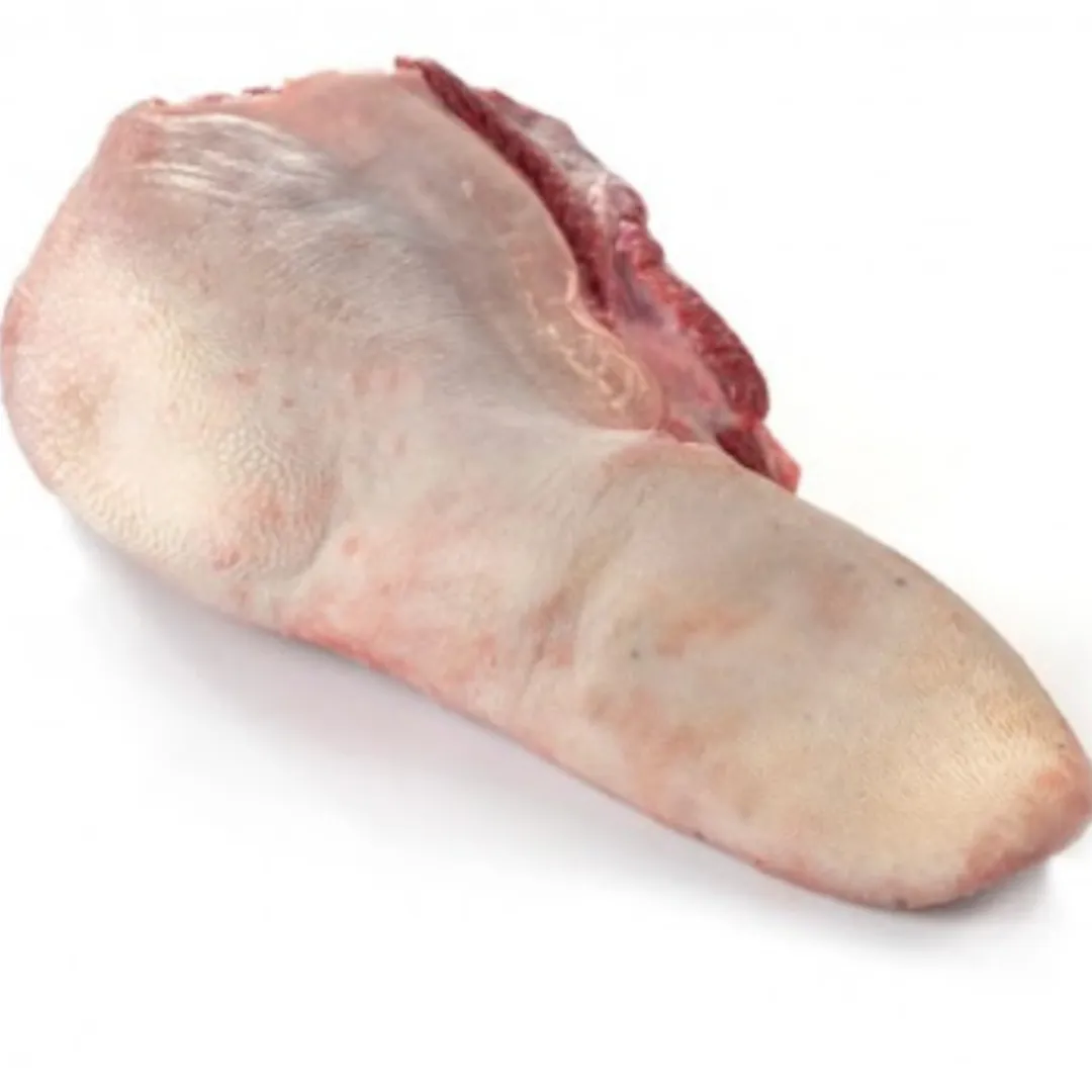 Diez grandes combinaciones argentinas - 2023-10-20T173633.333