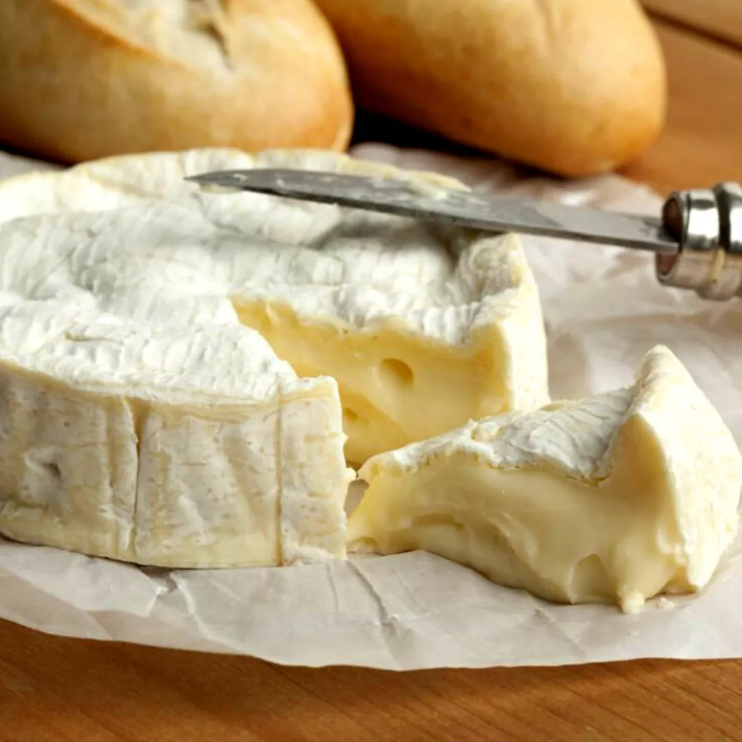 Las nuevas muzzarellas burrata y stracciatella (11)