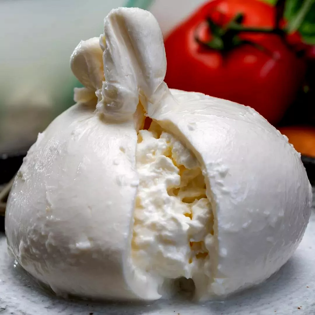 Diseño sin título - 2023-01-28T175817.966