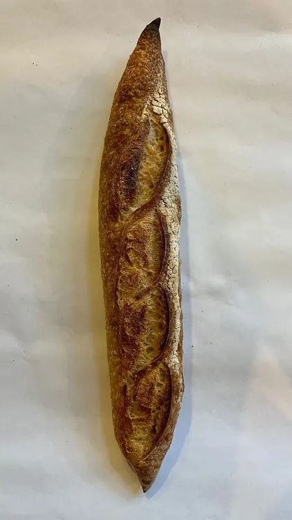 WhatsApp Image 2023-11-23 at 16.47.45