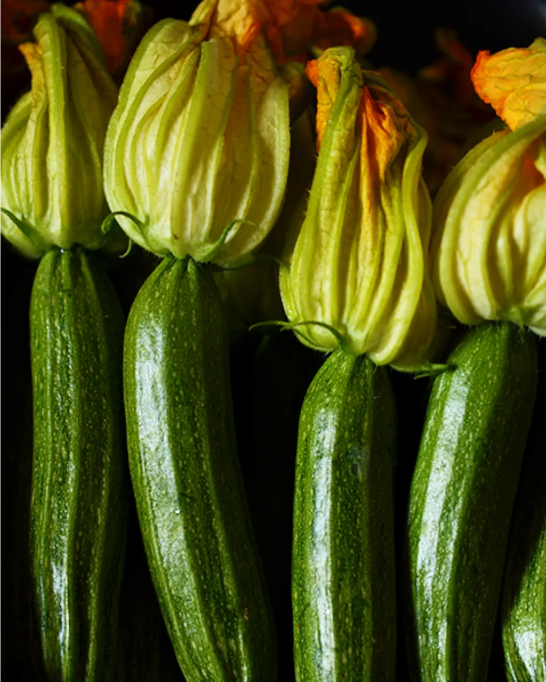 Rigatoni alla norma siciliano (68)