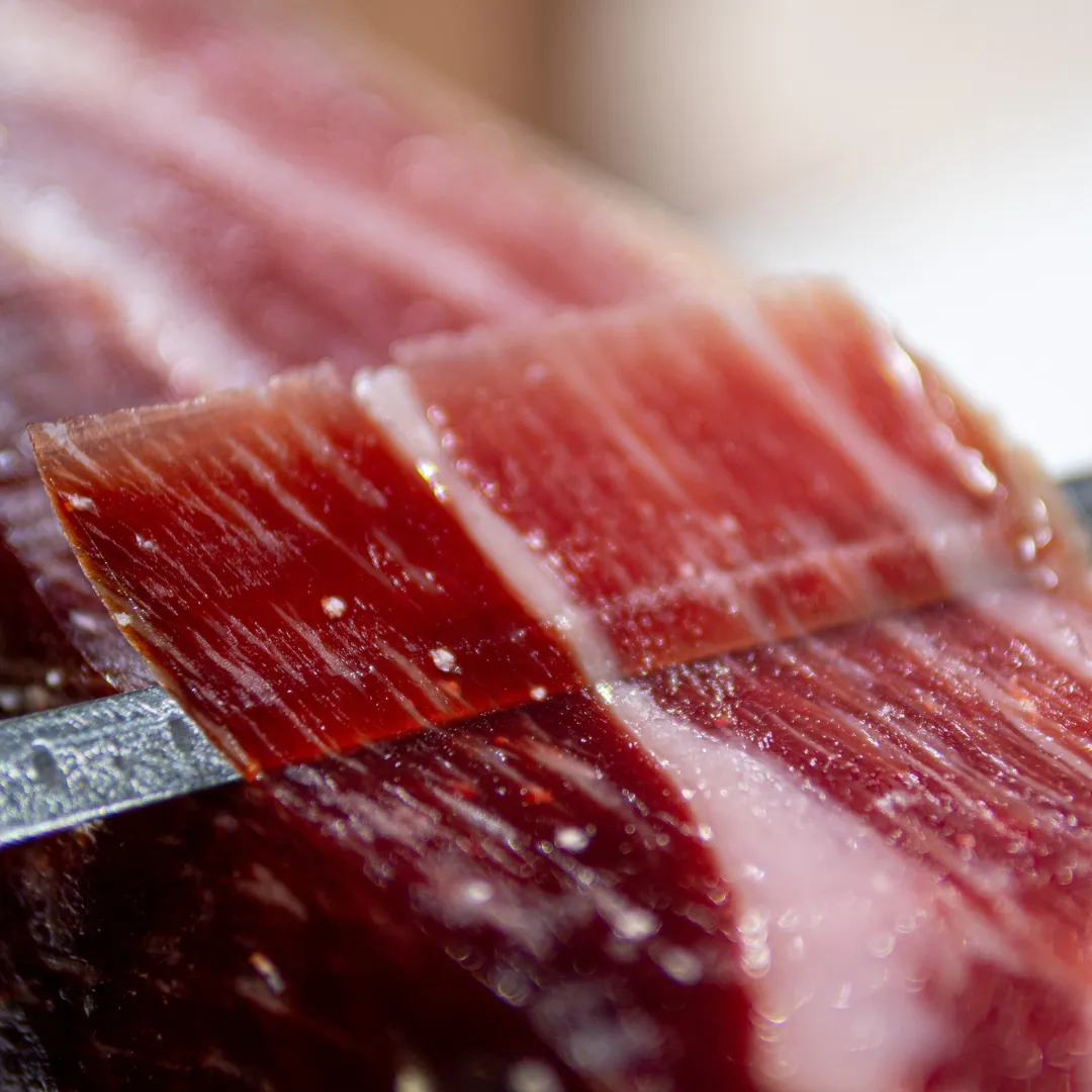 Sandulchan, el familiar (40)