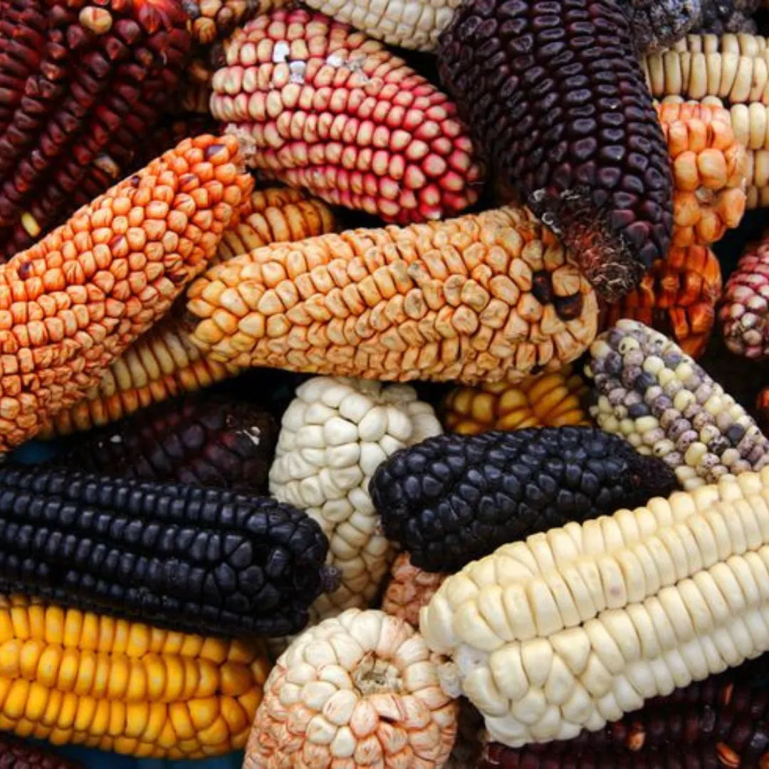 Diez grandes combinaciones argentinas (9)