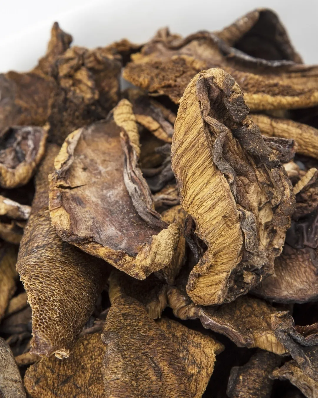 Agregar un título - 2025-06-26T175225.252