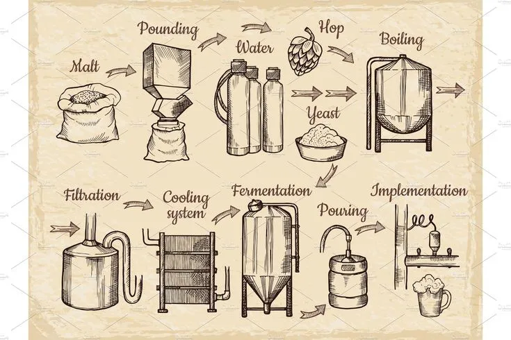 Beer production steps_ Hand drawn