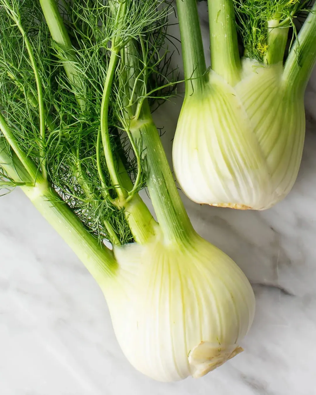 Agregar un título - 2025-06-27T113055.557