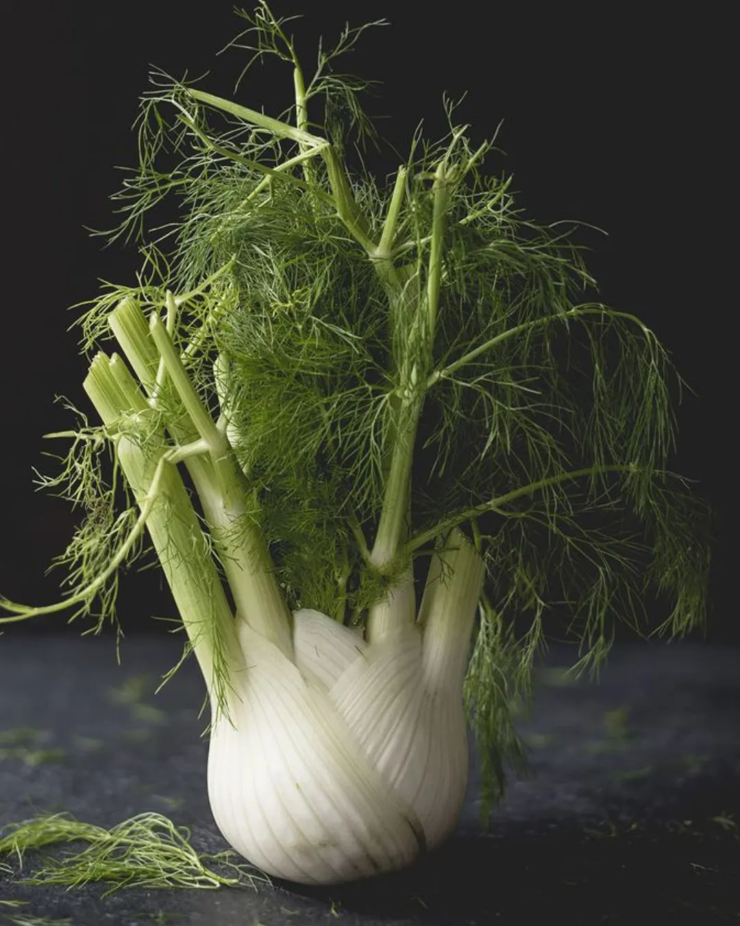 Todo sobre la mermelada (48)