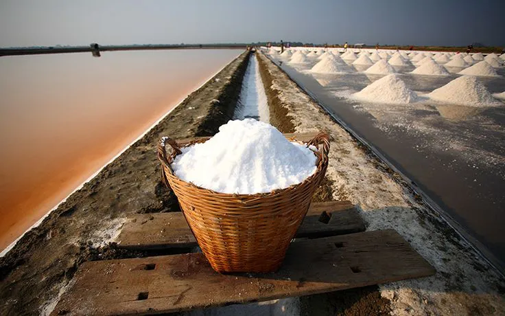 History of Salt _ SaltWorks®