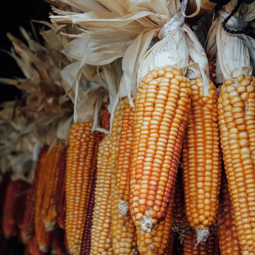Diez grandes combinaciones argentinas (8)