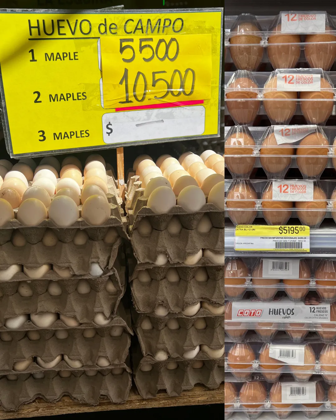 Agregar un título - 2025-10-02T153310.398